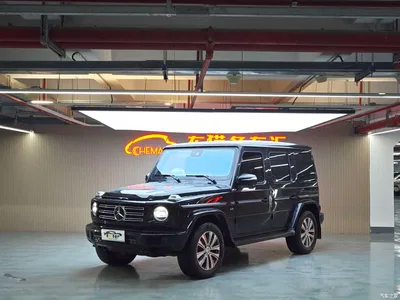 2020 Mercedes-Benz G-Class G 350, фото 1, лот 10280923