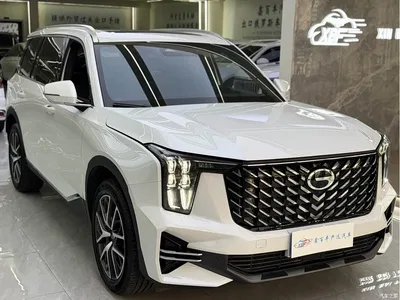 2024 GAC Trumpchi Trumpchi GS8 Navigator Series 2.0TGDI 4WD Luxury Smart Connect Edition, фото 3, лот 10671701