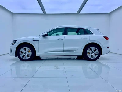 2021 Audi e-tron 50 quattro Luxury, фото 4, лот 10233065