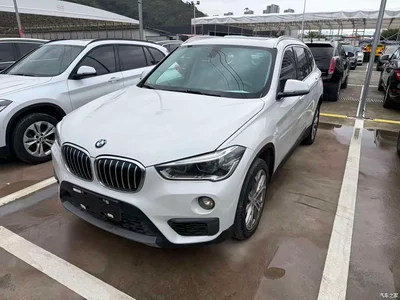2018 BMW X1 sDrive20Li Leading Model, фото 1, лот 11568933