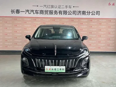 2023 Hongqi E-QM5 Facelift Basic Travel Edition, фото 2, лот 10304317