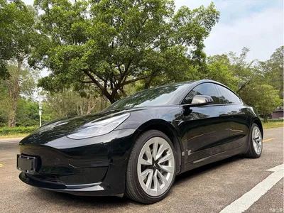 2021 Tesla Model 3 Standard Range Rear-Wheel Drive Upgrade, фото 1, лот 10392132