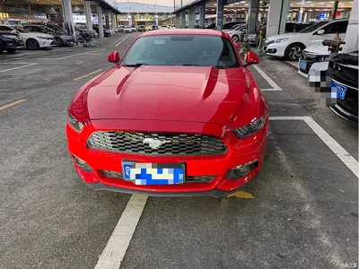 2017 Ford Mustang 2.3T Performance Edition, фото 4, лот 10281205
