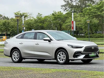 2025 Geely Galaxy Galaxy Stellar 6 125km Long Voyage Edition, фото 2, лот 10834641