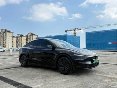 2025 Tesla Model Y Rear-Wheel Drive, фото 3, лот 10621903