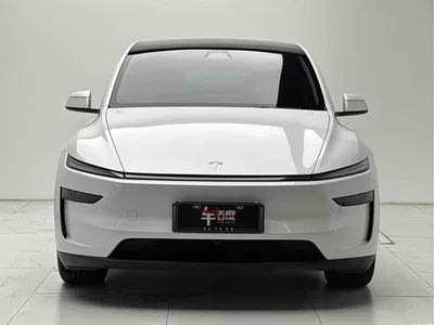 2025 Tesla Model Y Rear-Wheel Drive, фото 2, лот 11191547