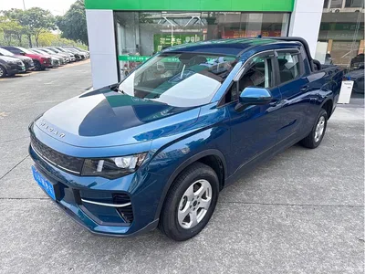2025 Geely Radar Radar King Kong EM-P 4WD Long Bed Thousand-Mile King Kong, фото 1, лот 10887760