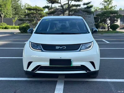 2025 BYD Dolphin 420km Freedom Edition, фото 2, лот 10252468