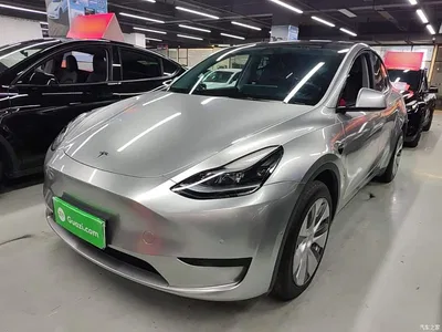 2022 Tesla Model Y Facelift Rear-Wheel Drive Version, фото 1, лот 10381092