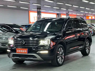 2017 GAC Trumpchi Trumpchi GS8 320T 2WD Luxury Smart Connect (7-seater), фото 1, лот 10415460