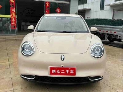 2022 Ora Good Cat Model Morandi Edition 400km Standard Range Luxury NCM, фото 3, лот 10330837