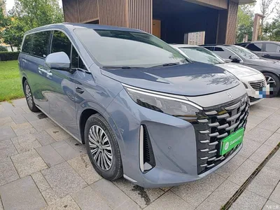2025 BYD Xia DM-i 1.5T 180km Surpass Edition, фото 4, лот 10259961