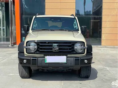 2025 Tank 300 New Energy Hi4-T, фото 2, лот 10344089