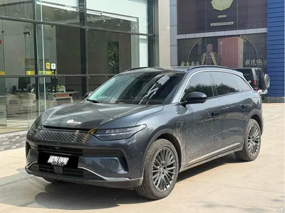 2024 Leapmotor C11 Extended Range 300 Premium Edition, фото 1, лот 11408288