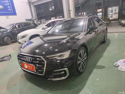 2024 Audi A6L 45 TFSI Premium Dynamic, фото 1, лот 10887804