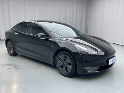 2022 Tesla Model 3 Model Rear-Wheel Drive Version, фото 3, лот 11197350
