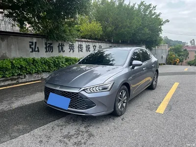 2024 BYD Qin PLUS Glory Edition DM-i 55KM Leading, фото 2, лот 10361493