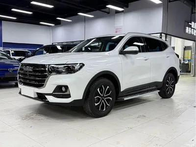 2021 Haval H6 National Trend Edition 1.5T Automatic Urban Edition, фото 1, лот 10282247