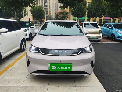 2025 BYD Dolphin Smart Drive Edition 420km Freedom Version, фото 3, лот 10803807