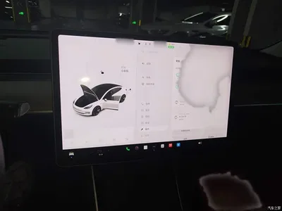 2020 Tesla Model 3 Standard Range Rear-Wheel Drive Upgrade, фото 4, лот 11203882