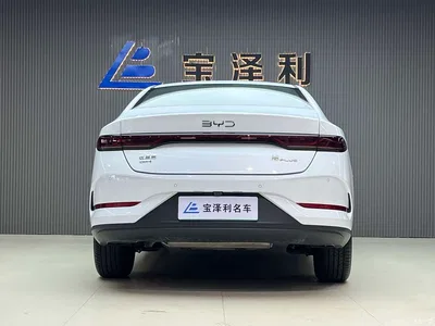 2025 BYD Qin PLUS DM-i Smart Drive 55KM Leader, фото 4, лот 11215556