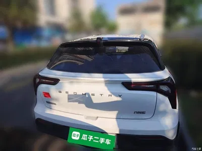 2023 Geely E Firefly 320KM Cute Tiger 5-seater, фото 3, лот 11586494