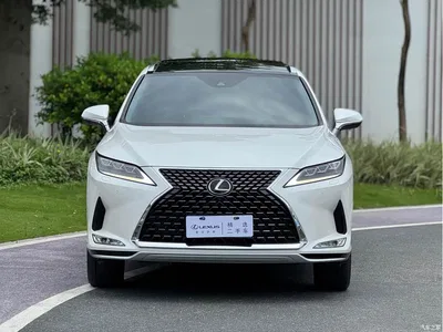 2020 Lexus RX Facelift 300 AWD Elegance Edition, фото 2, лот 10312464
