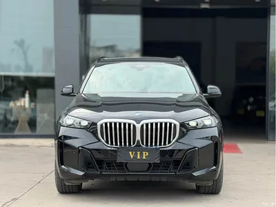 2023 BMW X5 xDrive 30Li Premium M Sport Black Night Package, фото 2, лот 11007659
