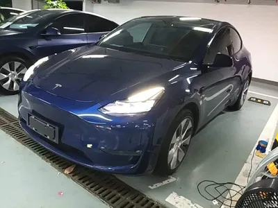 2021 Tesla Model Y Standard Range Rear-Wheel Drive, фото 2, лот 10369988