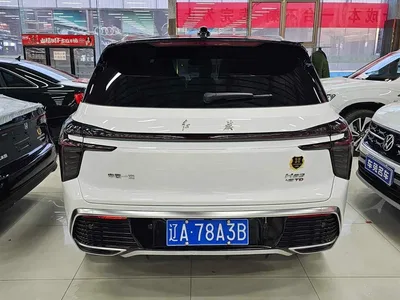 2023 Hongqi HS3 2.0T 4WD Achievement Edition, фото 4, лот 10289100