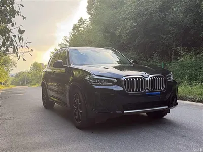 2023 BMW X3 xDrive25i M Sport Package, фото 3, лот 10460657