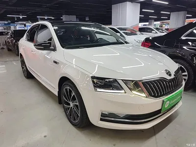 2019 Škoda Octavia TSI280 DSG Smart Luxury Edition China V, фото 4, лот 10769396