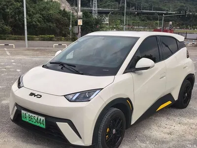 2024 BYD Seagull Glory Edition 305km Vitality Edition, фото 1, лот 10253595