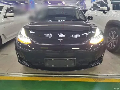 2022 Tesla Model 3 Model Rear-Wheel Drive Version, фото 3, лот 10826267