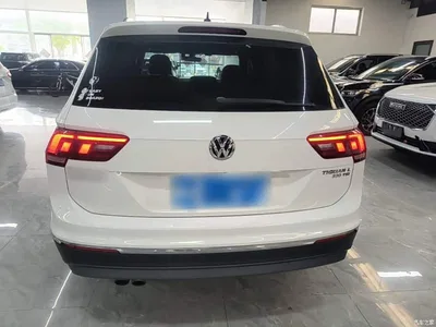 2019 Volkswagen Tiguan L 330TSI Auto 2WD Smart Luxury Edition China V, фото 4, лот 10463204