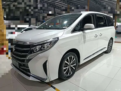 2021 GAC Trumpchi Trumpchi M8 Leading Show Series 390T Premium Edition, фото 1, лот 10419715