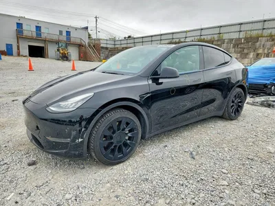 2021 TESLA MODEL Y, фото 1, лот 11053778