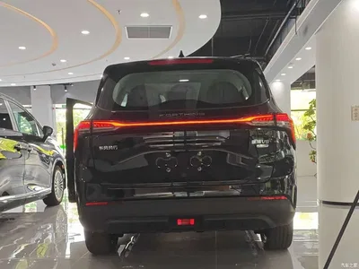 2026 Dongfeng Xinghai V6, фото 4, лот 11161061