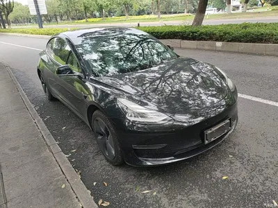 2019 Tesla Model 3 (Import) Long Range RWD Version, фото 4, лот 10369955