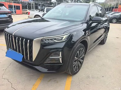 2023 Hongqi HS5 2.0T AWD Flag Enjoy Pro Edition, фото 1, лот 11566207