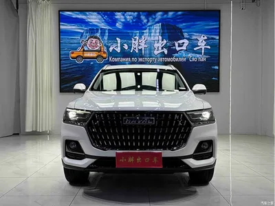 2023 Haval H6 National Trend Edition 1.5T Automatic Champion, фото 2, лот 11554334
