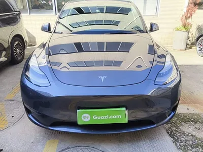 2021 Tesla Model Y Model Long Range AWD, фото 3, лот 11545557