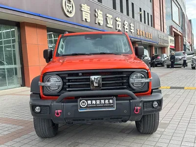 2023 Tank 300 Off-Road Edition 2.0T Conqueror, фото 2, лот 10346473
