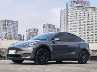 2024 Tesla Model Y Rear-Wheel Drive Version, фото 1, лот 11566043