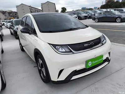 2023 BYD Dolphin 420km Fashion Edition, фото 4, лот 10259763