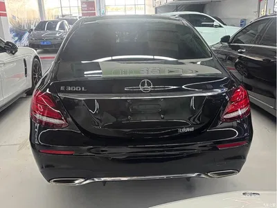 2017 Mercedes-Benz E-Class E 300 L Sport Luxury, фото 4, лот 10266349