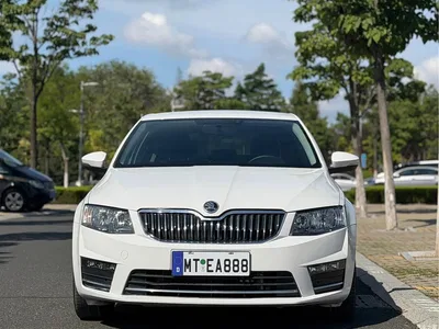 2017 Škoda Octavia 1.6L Automatic Pioneer Edition, фото 2, лот 10348940