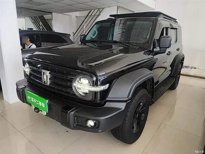 2021 Tank 300 Off-road Version 2.0T Conqueror, фото 1, лот 10345521