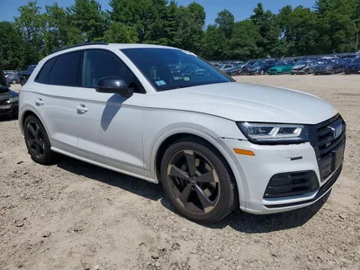 2019 AUDI SQ5 PREMIUM PLUS, фото 4, лот 10852385