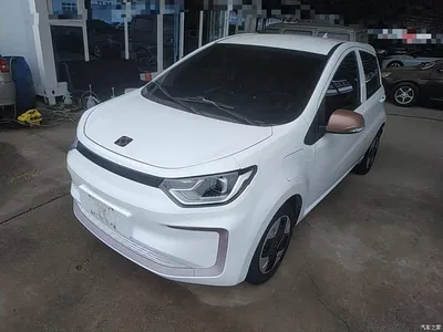 2023 Sehol Flower Fairy 251km Four-leaf Clover 36kW, фото 2, лот 11153475